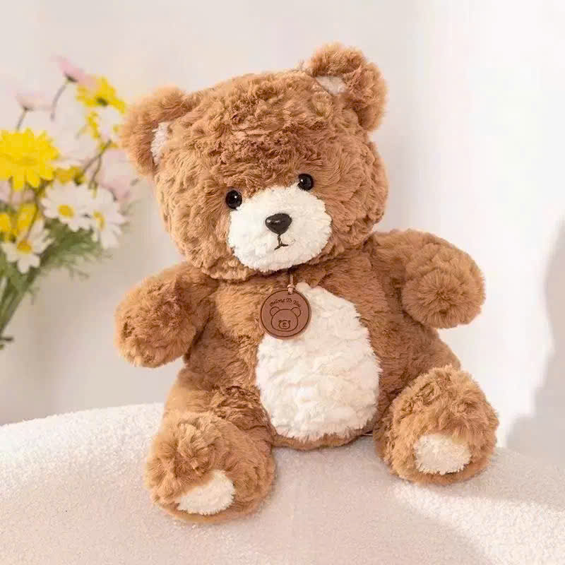 bong gau teddy (1).jpg